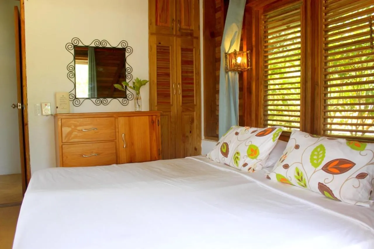 Clave Verde Ecolodge Las Terrenas Lodge