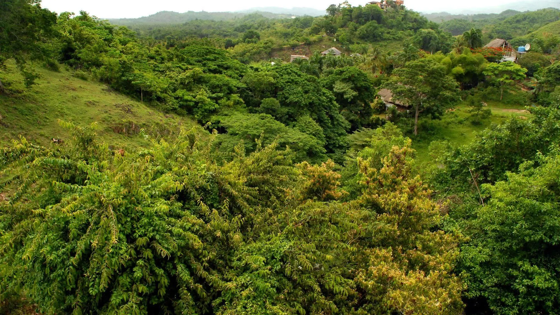 Lodge Clave Verde Ecolodge Las Terrenas